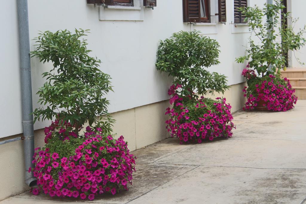 Villa Margareta Sukošan Extérieur photo